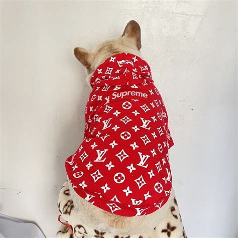 louis vuitton dog hoodie